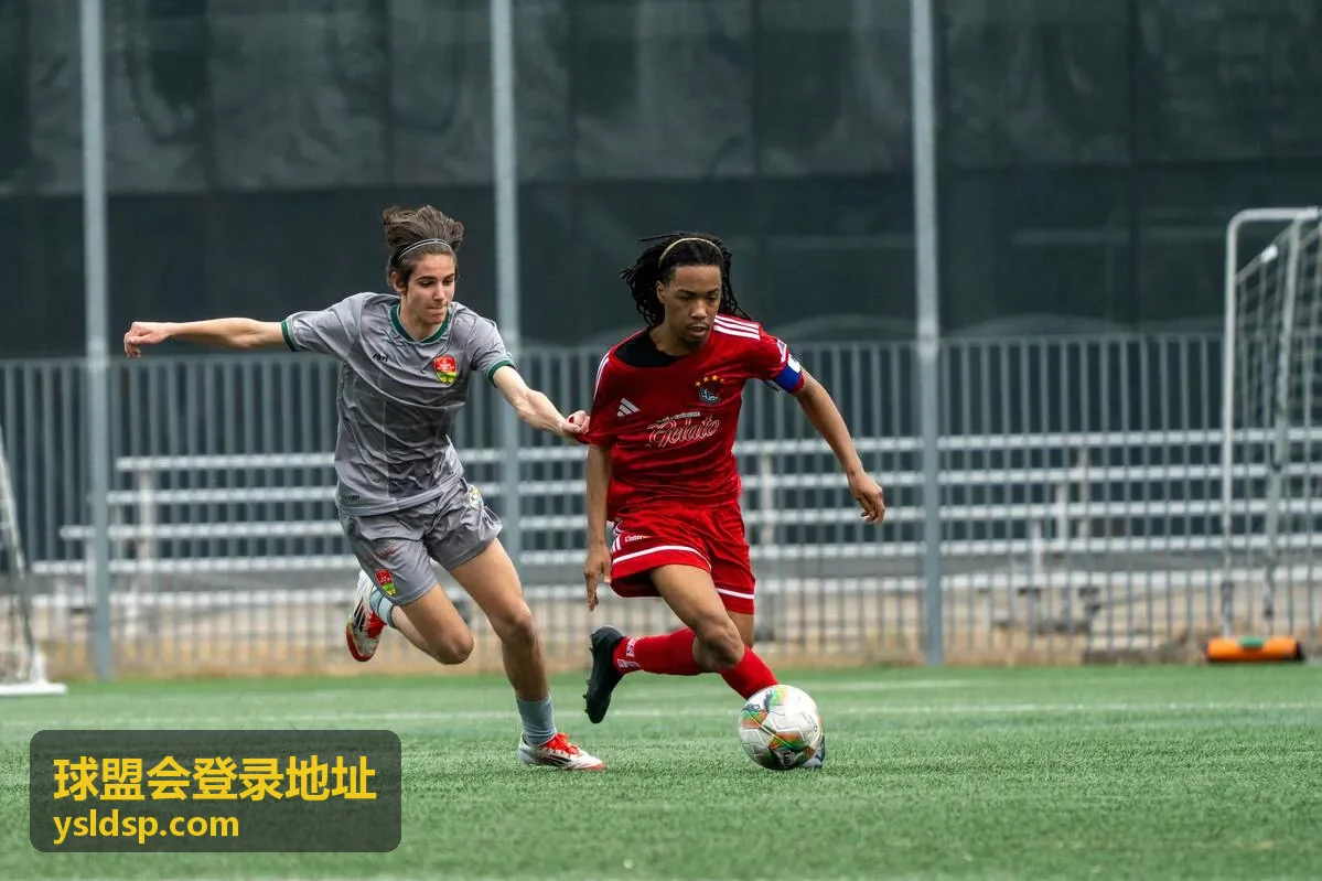使用者按球盟会网站登录入口 - 球盟会(中国)步骤完成访问的反馈配图